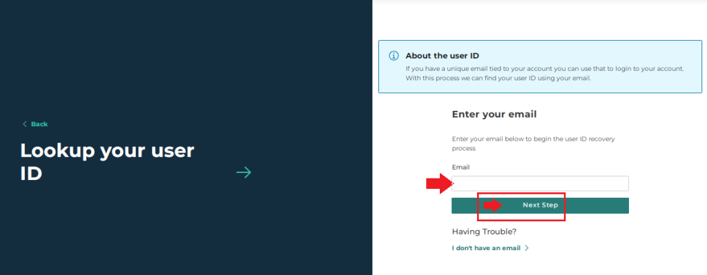 MI Bridges Lookup ID Reset